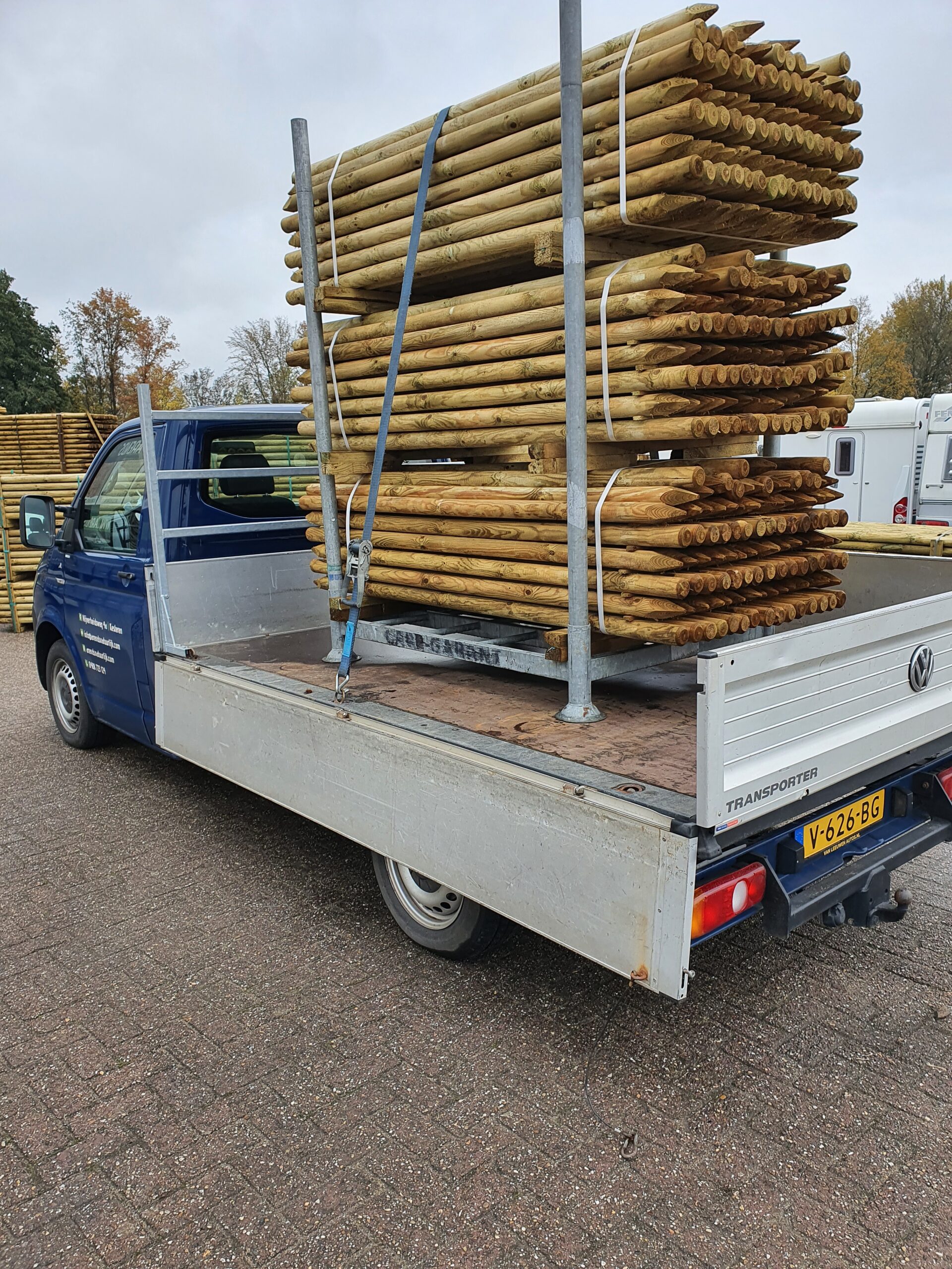 Boompaal Diameter 10CM - Afbeelding 2