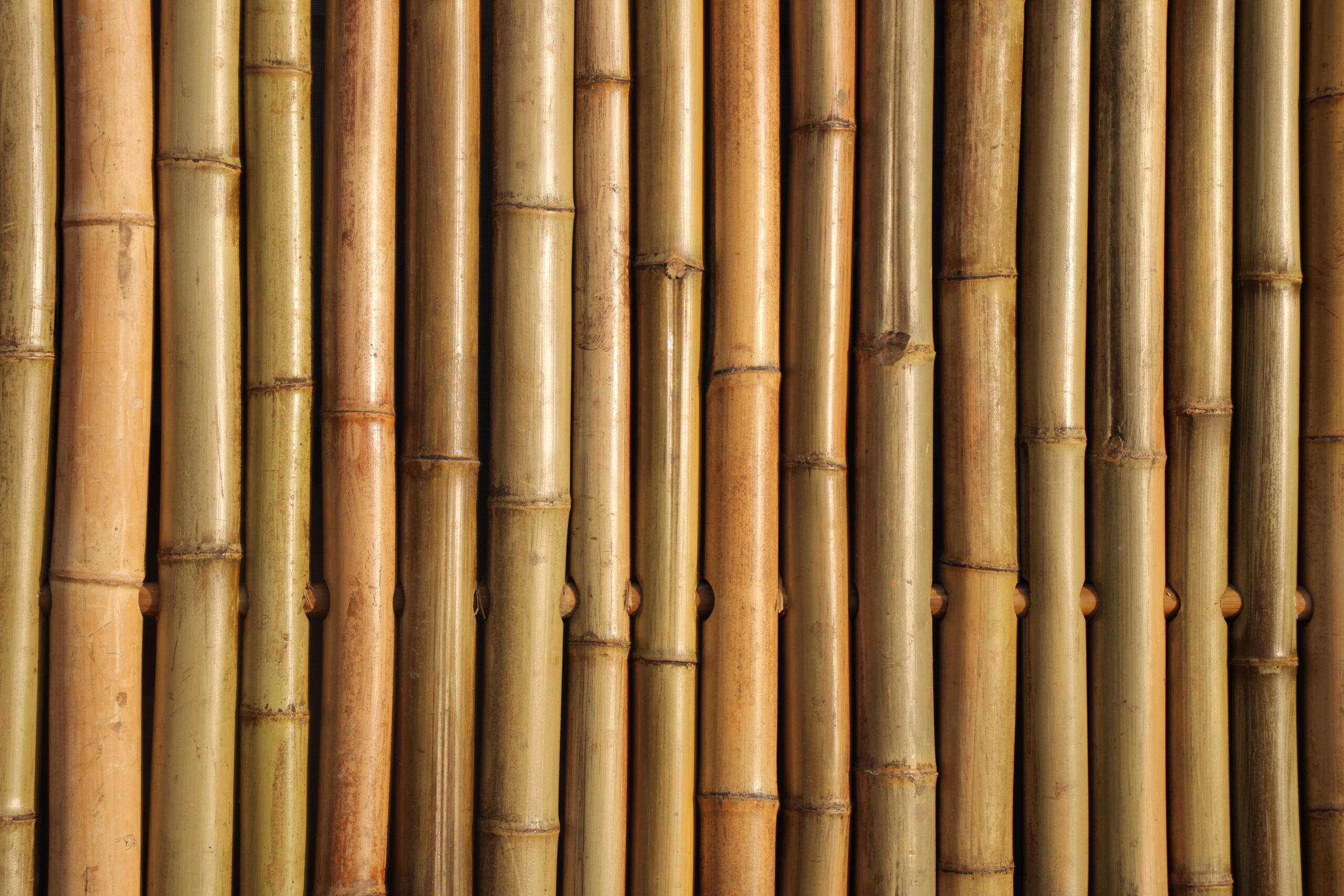 Bamboeschutting Naturel 180X180 6/8 CM - Afbeelding 2