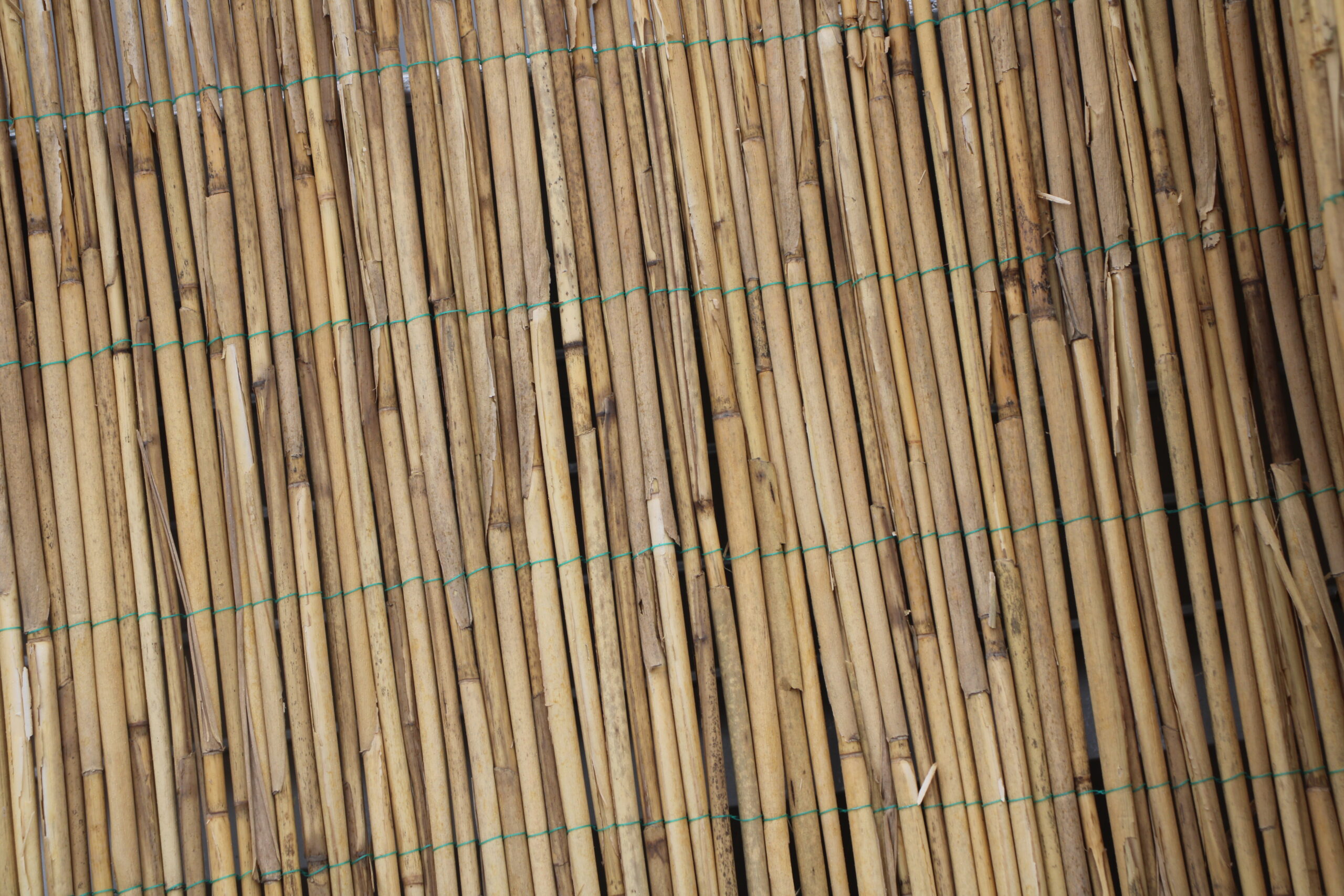 Rietmat Bonaire - Afbeelding 2