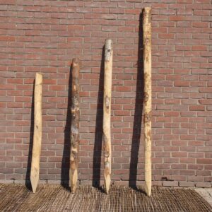 kastanjepaal schutting