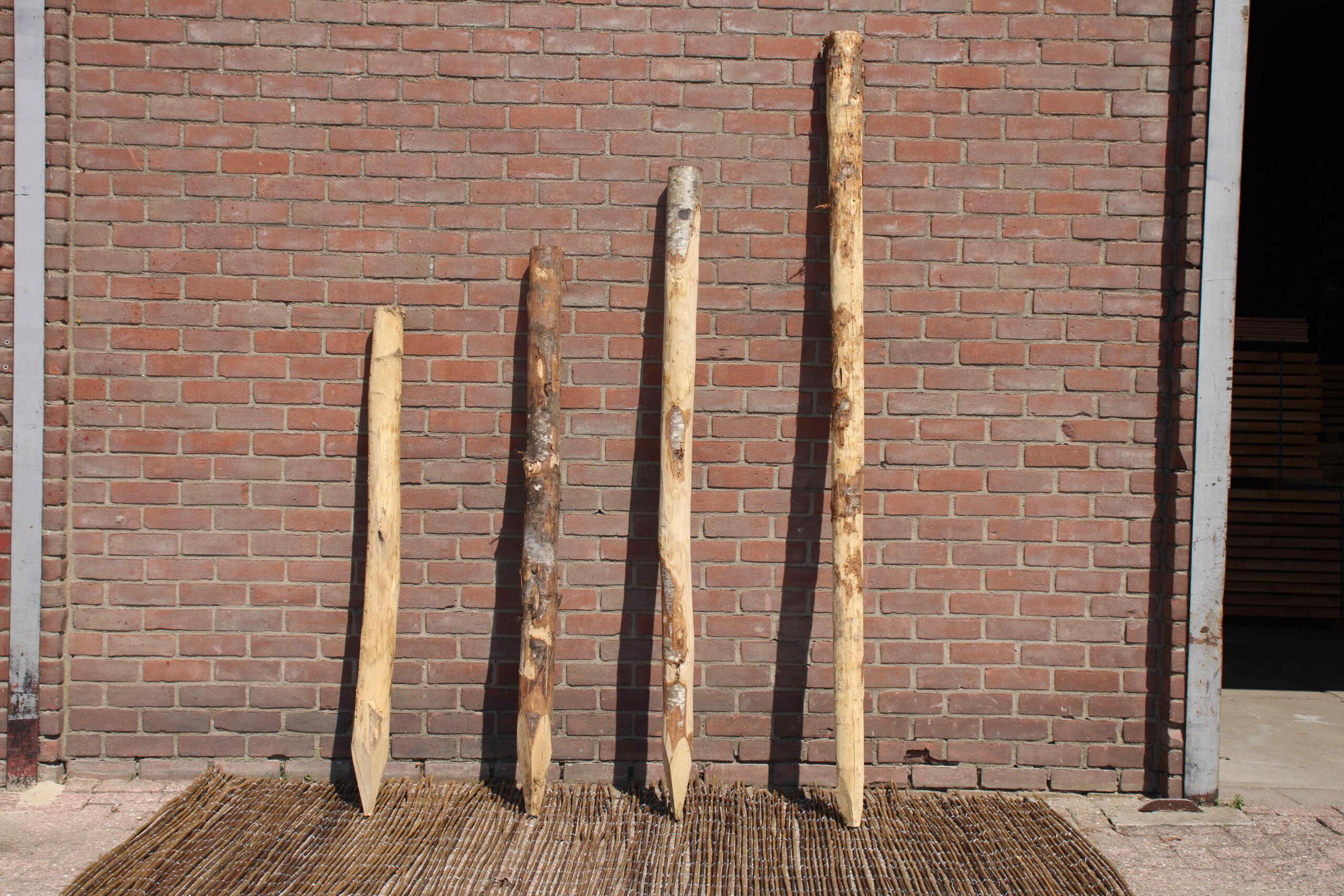 kastanjepaal schutting