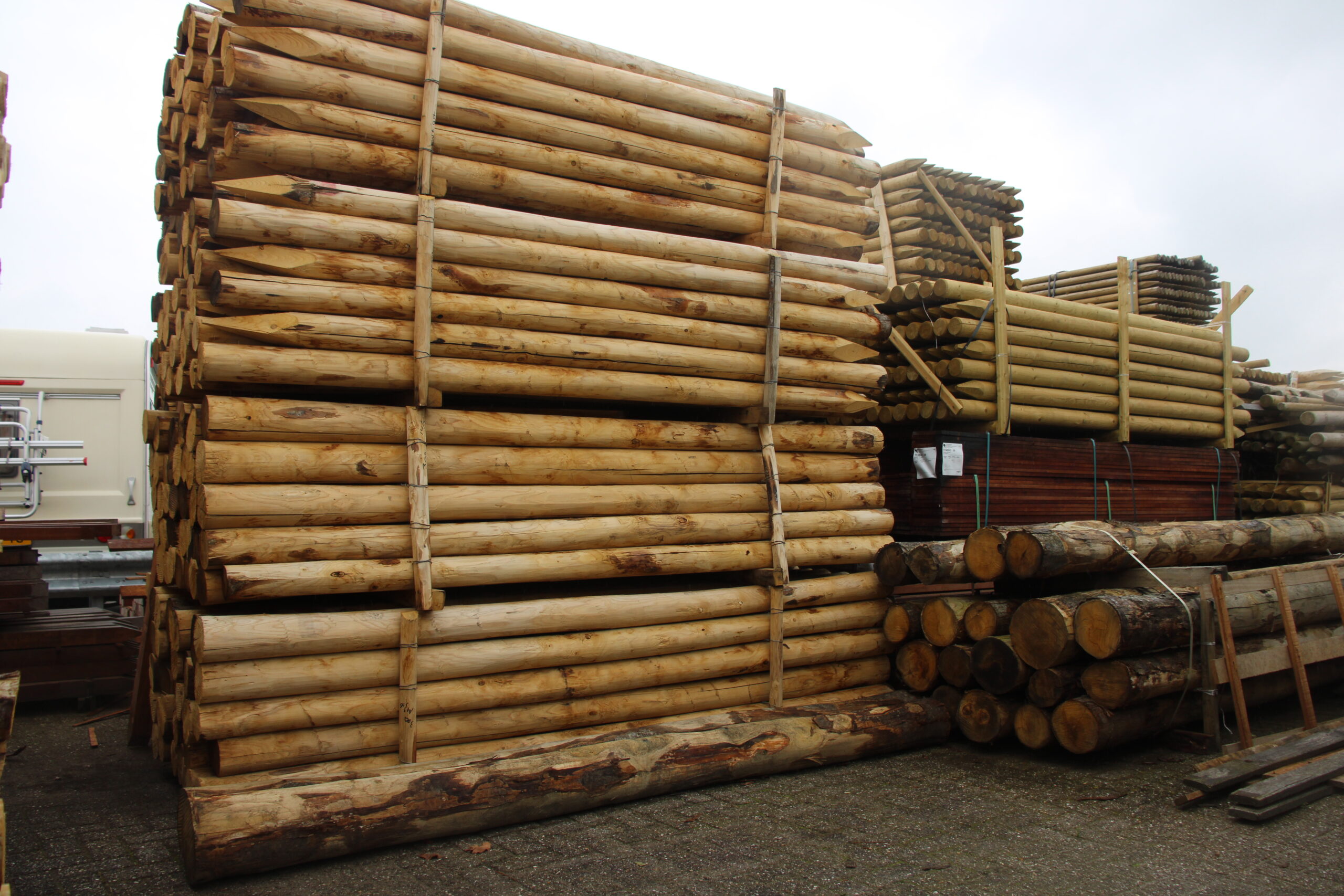 kastanje palen voorraad