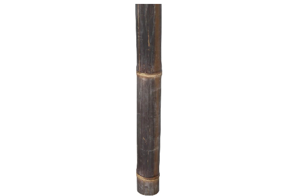 Bamboestok Zwart 250 cm 4-5 ø