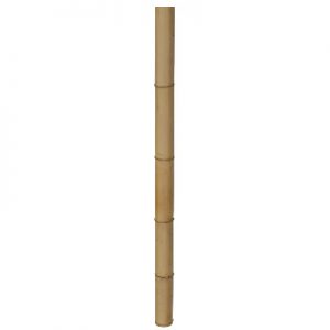 Bamboestok kopen