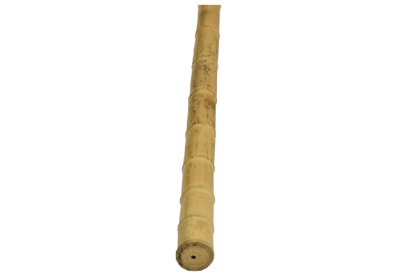 Bamboestok 300 cm 12-14 ø