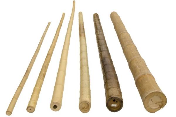 Bamboestok Zwart 200 cm 3-4 ø - Afbeelding 2