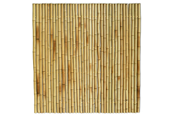 Bamboematten schutting kopen en onderhouden Bamboematten schutting kopen en onderhouden