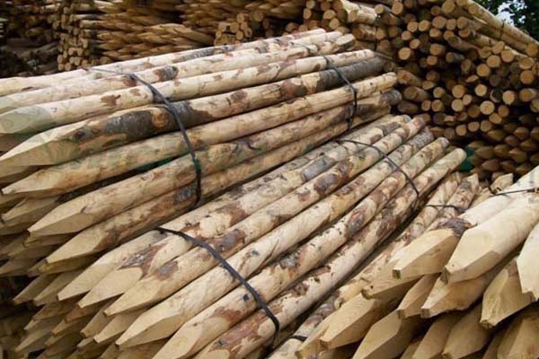 Waarom kastanje palen voor de tuin kopen? Waarom kastanje palen voor de tuin kopen?