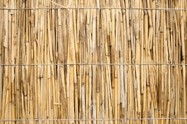 Rietmatten voor een fraaie natuurlijke tuinafscheiding Rietmatten voor een fraaie natuurlijke tuinafscheiding