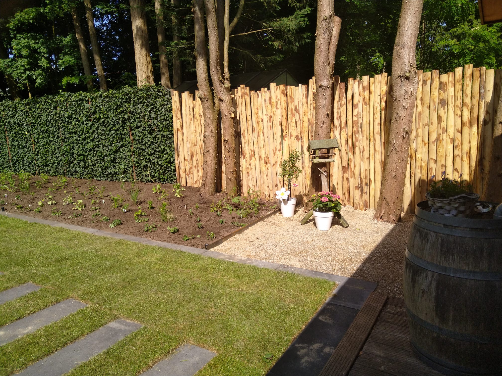 kastanjepaal schutting